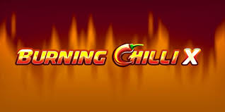 Special Features and Bonus Rounds in Burning Chilli X Slot